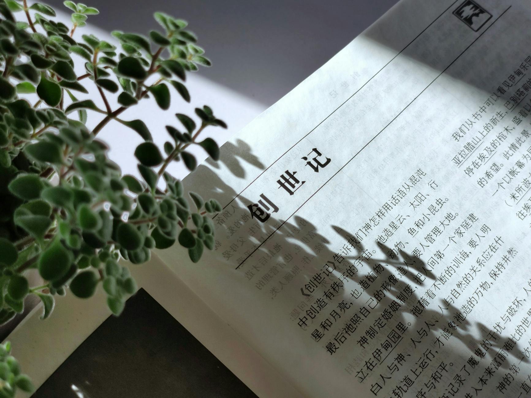 企编云评论数据清洗中的中文分词模型选型指南