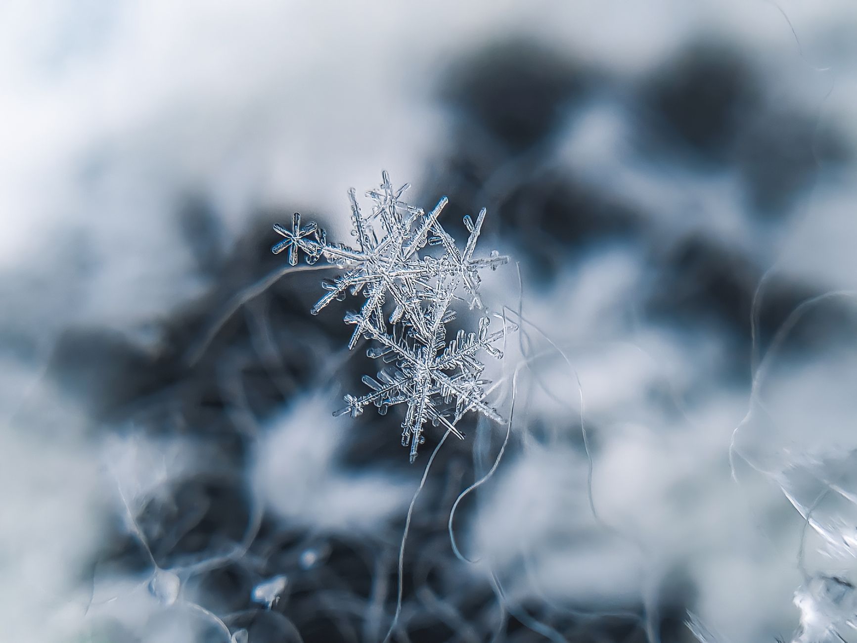 企业级AI员工数据血缘追踪实现方法（含Snowflake配置）