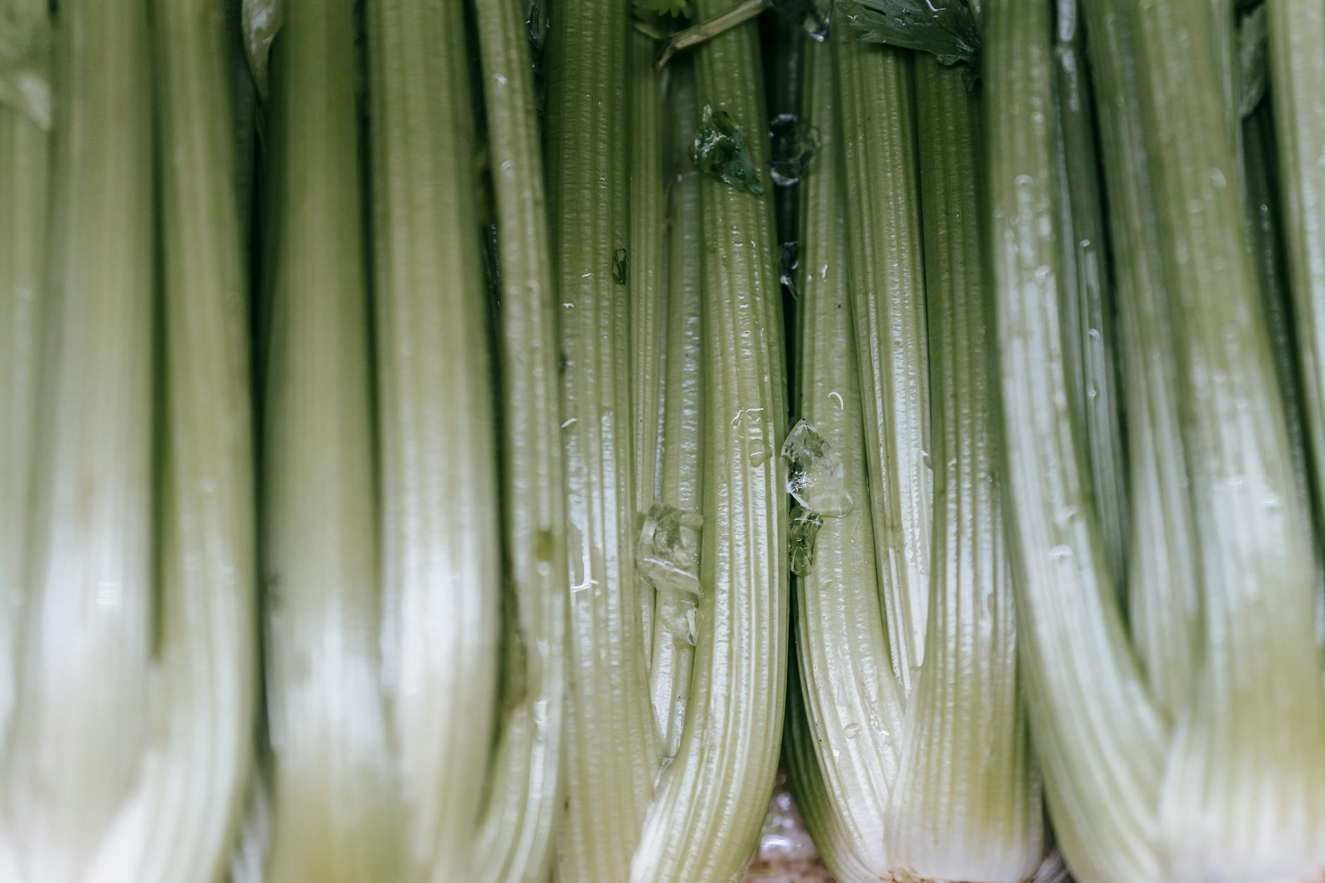 企业级任务队列管理：Celery+Redis实现万级指令排期