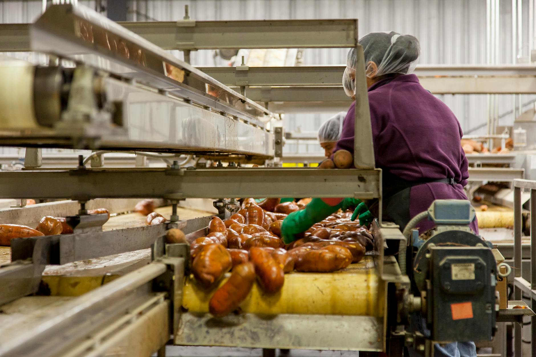 RPA工具在本地食品厂生产许可证自动续期场景的应用实践